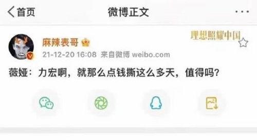 开心吃瓜笔记百度云网盘,揭秘百度云网盘的瓜界风云
