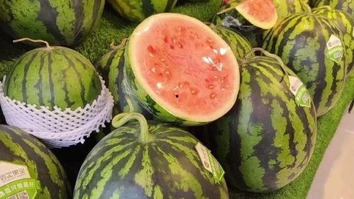 每日吃瓜网,揭秘娱乐圈最新热点，带你畅游八卦海洋