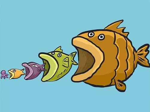 秩序小鱼吃瓜爆料