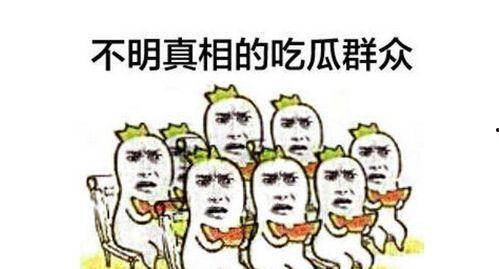 我在七零当吃瓜群众网盘,揭秘网盘背后的故事