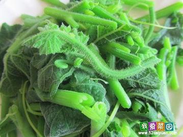 国内免费最大的吃瓜网,最大吃瓜网带你畅游娱乐热点